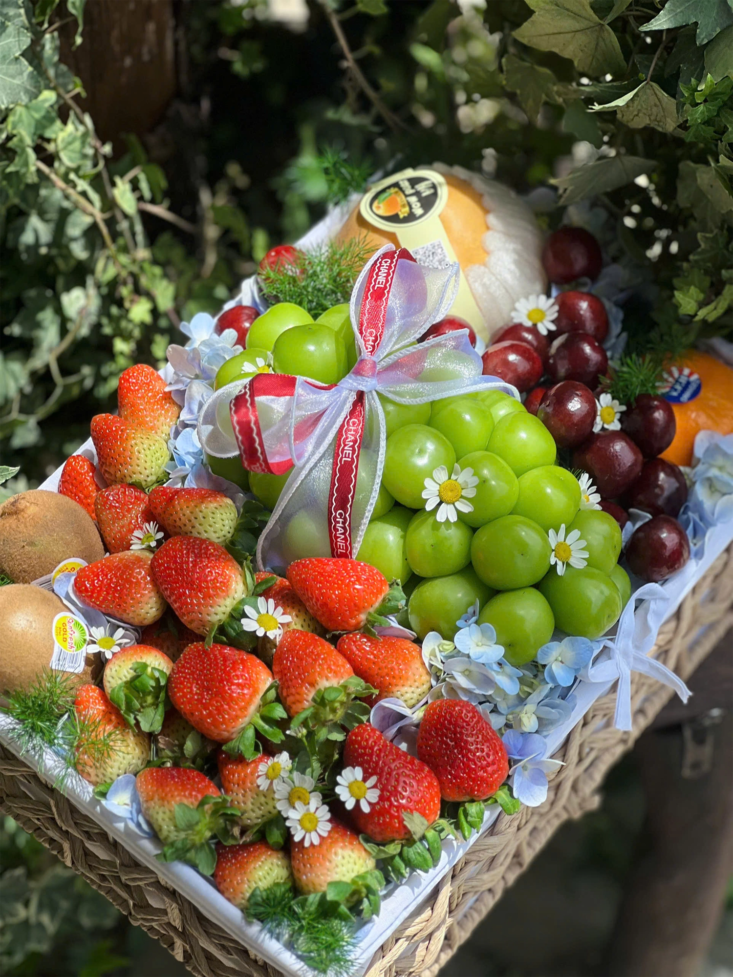 Giỏ trái cây-TC 005 ảnh 2