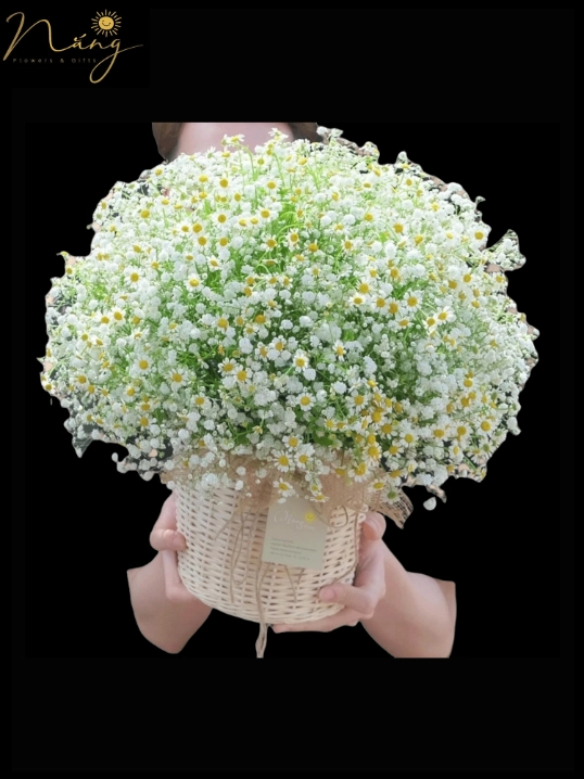 Ảnh sản phẩm Bó hoa BB-019 1