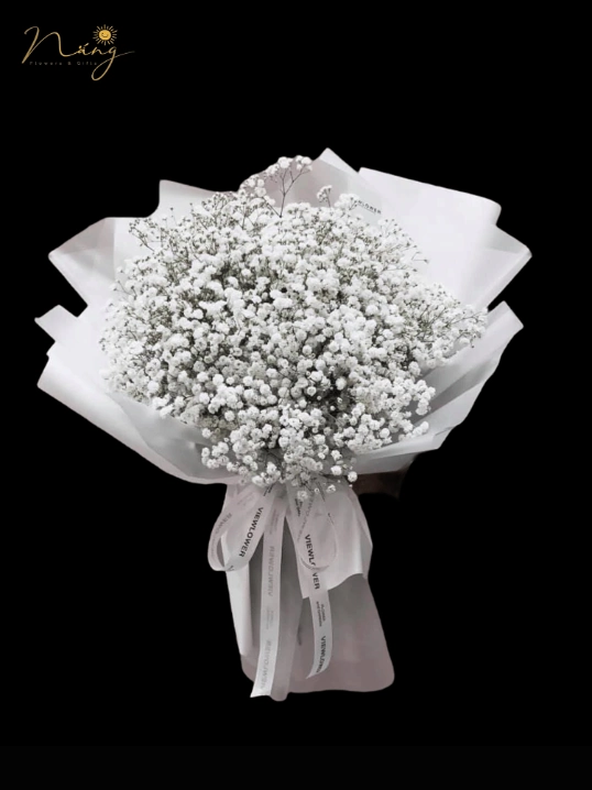 Ảnh sản phẩm Bó hoa BB-066 1