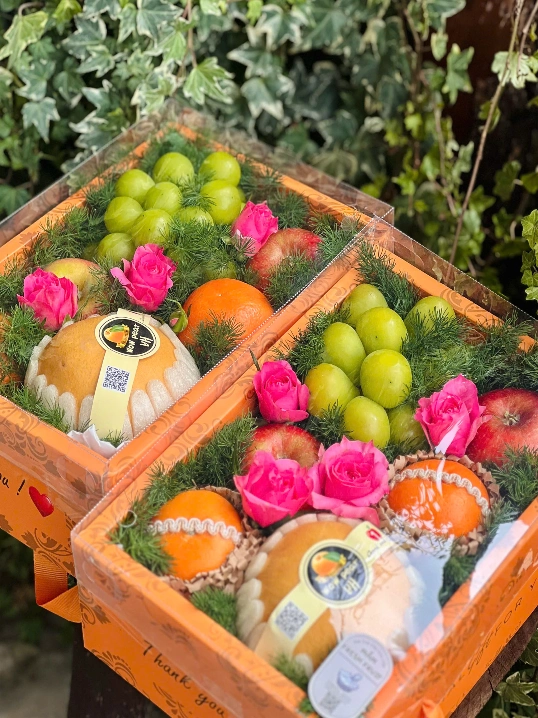 Ảnh sản phẩm Giỏ trái cây-TC 015 1