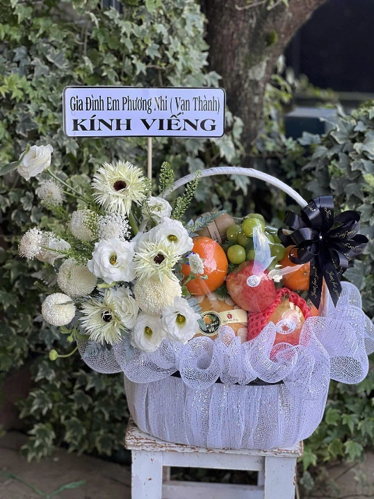 Ảnh sản phẩm Giỏ trái cây-TC 040 1